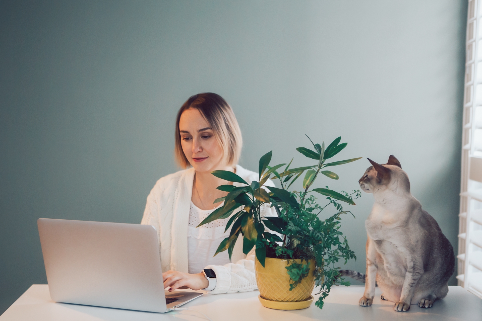 freelancer working remotely