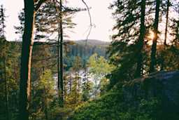 Wat zijn de MIA en de Vamil