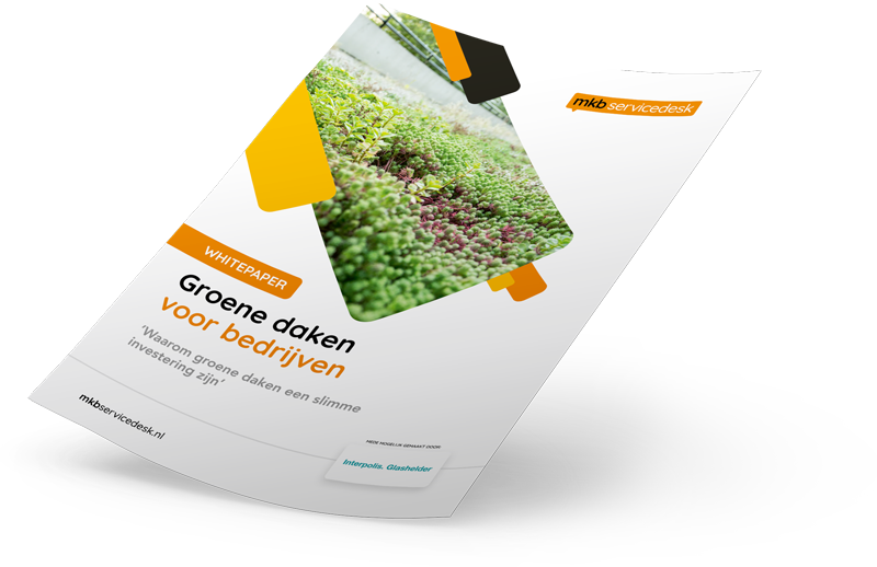 Whitepaper voorbeeld