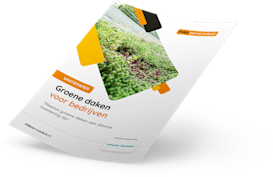 Whitepaper voorbeeld