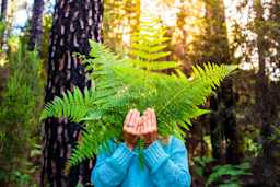 Vrouw achter blad