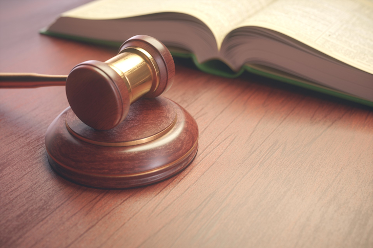 hamer wetten wetgeving wetswijzigingen rechter