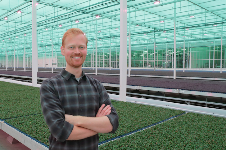 Tim Koning in een kas van Koppert Cress