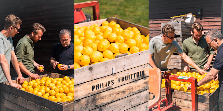 Che Dona Luce en Philips Fruittuin