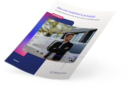 Whitepaper voorbeeld