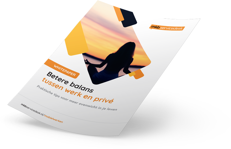 Whitepaper voorbeeld