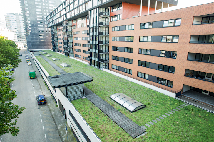 Groen dak - daktuin - gras - kantoor