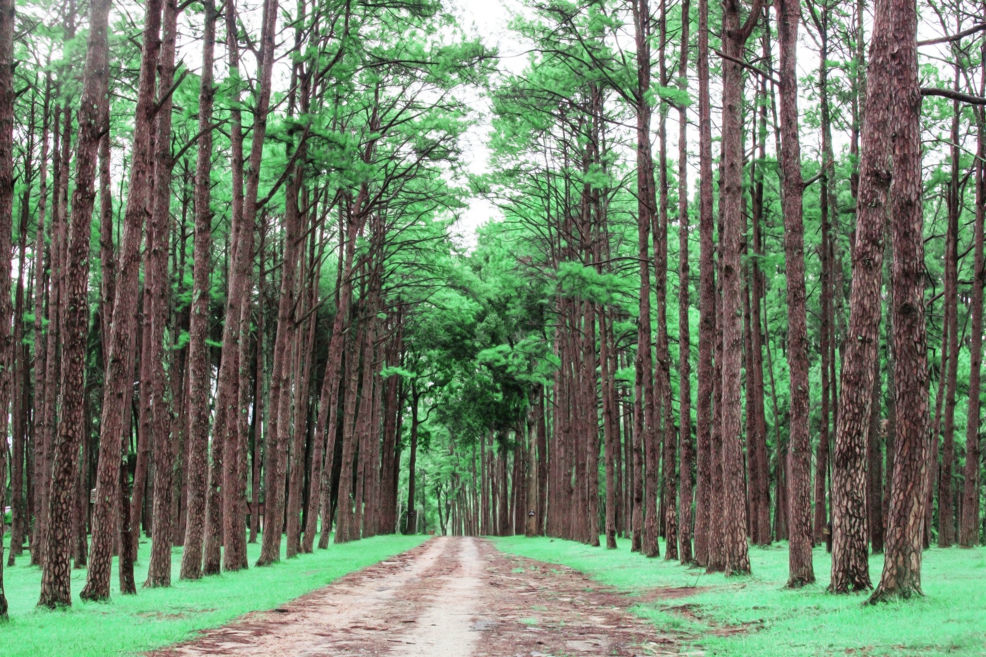 Welke vormen van MVO zijn er