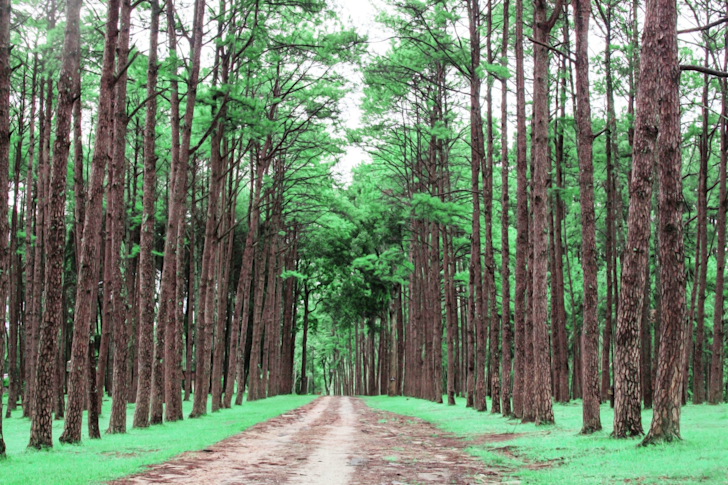 Welke vormen van MVO zijn er