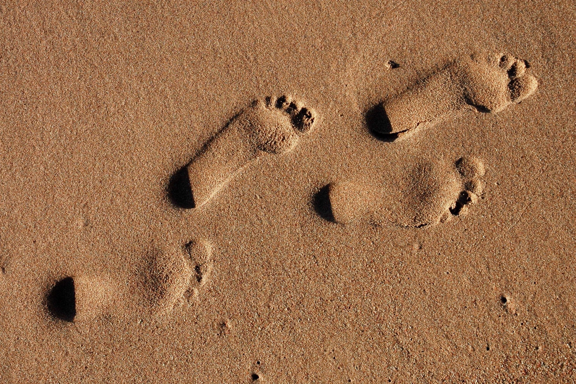 Verklein de ecologische voetafdruk van je bedrijf